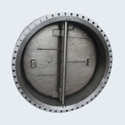 Built-in dual-Plate double-flange check valve